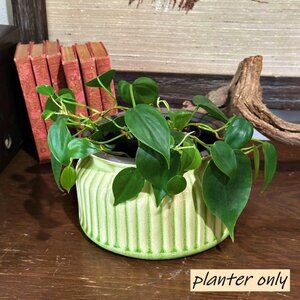 Mera Vic Green Fluted Ceramic Planter Pot Bowl Mid Century Modern Style 4.25 x 6